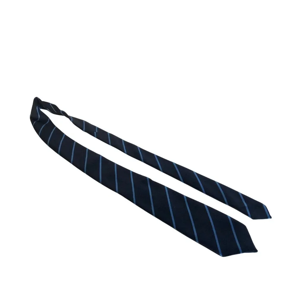 The Childrens Place Boys Blue Striped Polyester Necktie 8-14 Years